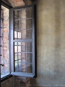 Window III