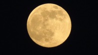 Super Full Moon-June 23 by NC Trees Photography